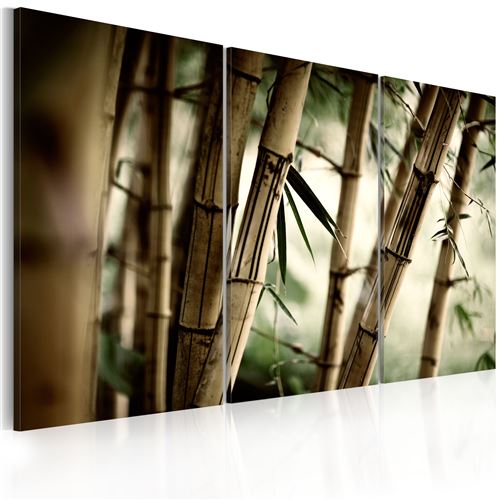 tableau - forêt tropicale - artgeist - 120x80