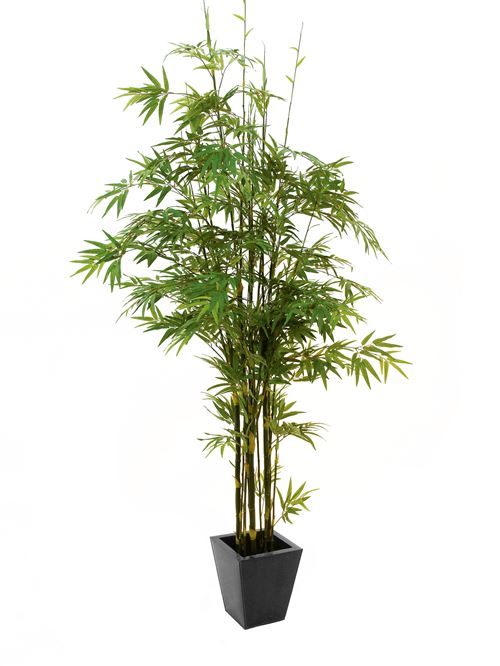 EUROPALMS Tronc noir en bambou , plante artificielle, 240cm