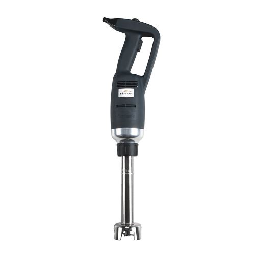Lacor 69782 Fouet Professionnel de série Définit w et 25 cm, 500 W [Classe énergétique A]
