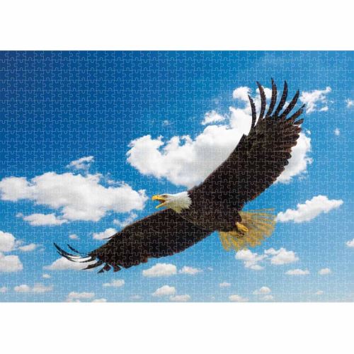 Grands jouets de puzzle de 1000 pièces pour adultes ou enfants taille: 70 x 50 cm