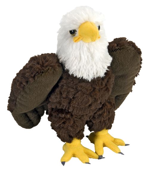 Wild Republic Marron Peluche Aigle À Queue Blanche Junior 20 Cm En Peluche /Blanc