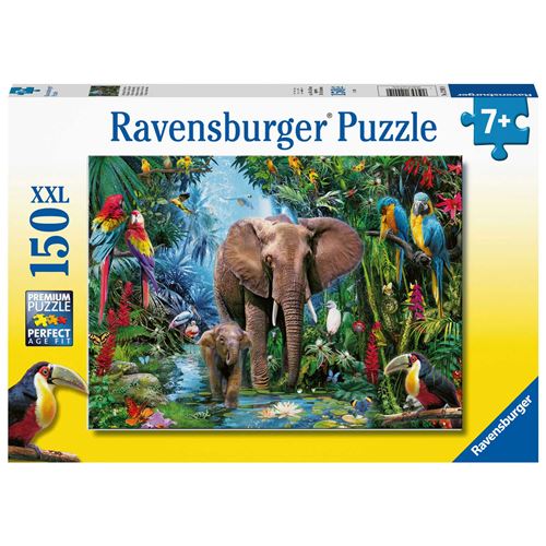 Elephants In The Jungle, 150St. Xxl