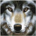 Kit Crystal Art - Tableau Loup - 30 x 30 cm