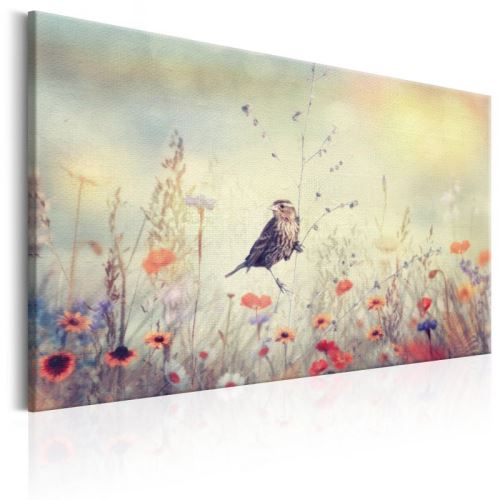Tableau - Spring Sonata .Taille : 90x60