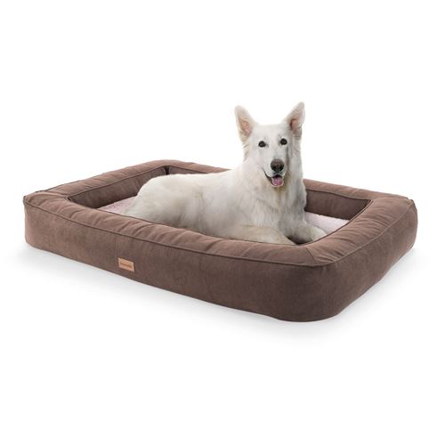 Comparer les prix de Panier pour chien - Brunolie Bruno - Coussin pour chien - Taille XL (120 x 17 x 85 cm) - Mousse - Beige