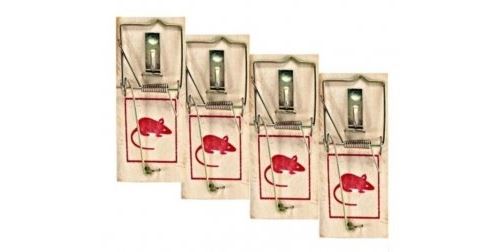 Meilleurs prix pour 8 tapettes a souris mulots en bois et fer piege souris ras rongeur