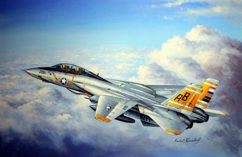 Maquette avion Hobby Boss Grumman F-14A Tomcat- 1/48 - Maquette d'avi