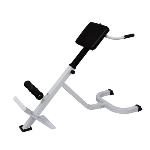 vidaXL Banc de musculation du dos