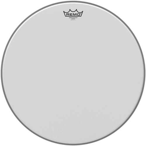 Remo Ambassador 17 SablÃ©e TOM SUR PIEDS