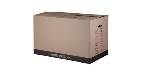 smartboxpro Cartons de déménagement CARGO-BOX XS, marron