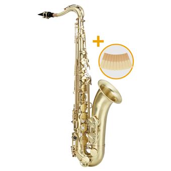 10pcs Saxophone Sax Classic Reed pour Saxophone 2.5 Force 2 1/2 Musique  Noël Cadeau Musical Instrumen