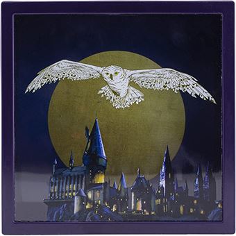 Tirelire Harry Potter - Hedwig 3D