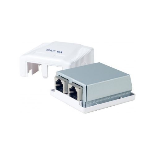 Dexlan boitier mural 2 ports CAT6A
