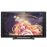 Tekentablet met Scherm - XP-PEN Artist22E Pro - Werkgebied 21,5 inch - 16 Sneltoetsen - IPS Bewaken - 8192 Drukgevoeligheid - Oplaadbare Stylus_0