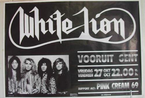 White Lion - 71x102 cm - AFFICHE / POSTER