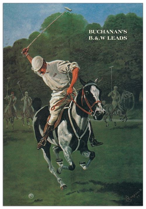 BUCHANAN - Polo (Panneaux MDF 48x68 cm)