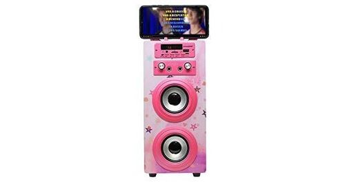 Dynasonic (3e génération) - enceinte bluetooth portable karaoké  hautparleur, microphone inclu, radio fm, lecteur usb/sd - modèle 025-2  (rose pétant) - Enceinte sans fil - Achat & prix