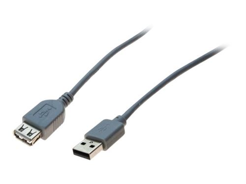 generic - Rallonge de câble USB - USB (F) pour USB (M) - USB 2.0 - 5 m - gris