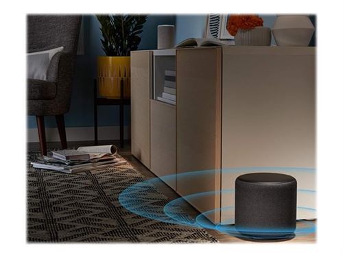 Amazon Echo Sub - Caisson de basses - sans fil - Wi-Fi - Charbon