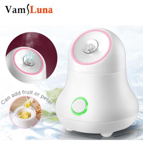 Petals Humidifier Hydratant Déverrouille les pores Brume Eau pulvérisée Spa Outils de soin de la peau
