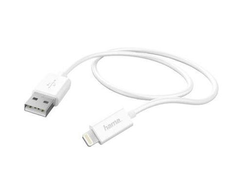 Câble de données câble de charge hama ipad iphone ipod [1x usb 2.0 type a mâle - 1x dock apple 178330