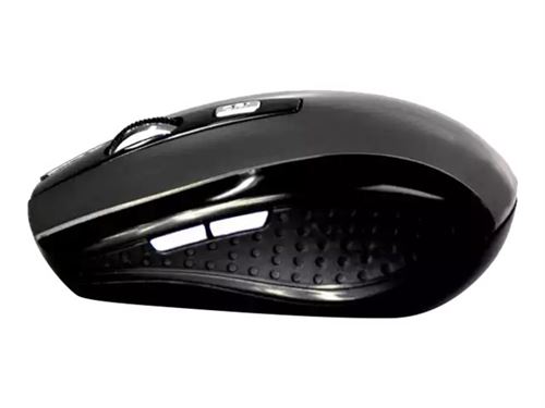 Media-Tech Raton Pro T MT1113T - Souris - droitiers et gauchers - optique - 5 boutons - sans fil - 2.4 GHz - récepteur sans fil USB - noir, titane