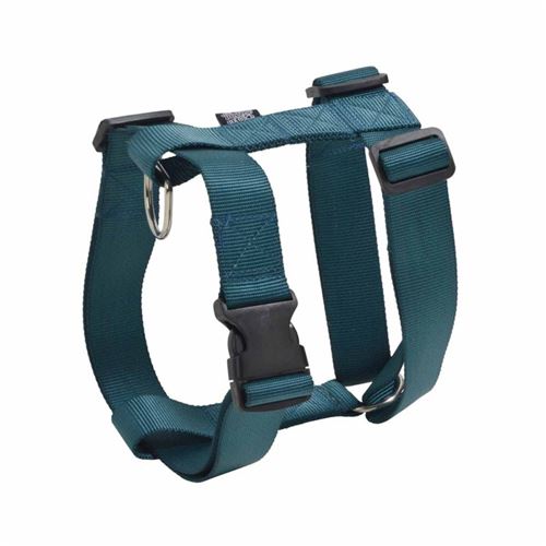 Meilleurs prix pour Harnais pour Chien Essentiel 90cm Émeraude
