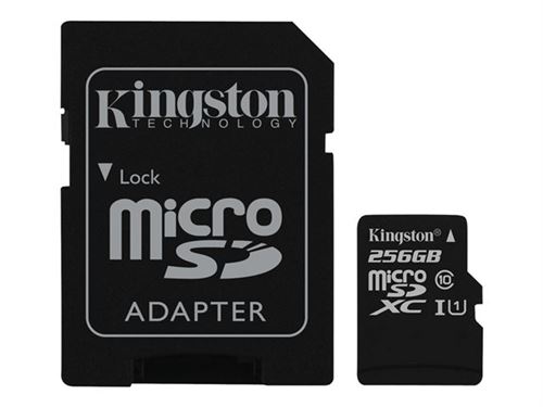 Kingston - Carte mémoire flash (adaptateur microSDXC vers SD inclus(e)) - 256 Go - UHS Class 1 / Class10 - microSDXC UHS-I