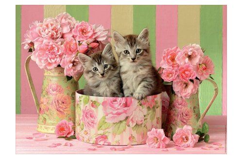 EDUCA Puzzle 2 chatons dans une boite et des bouquets de roses - 500 pieces -  - collection animaux 