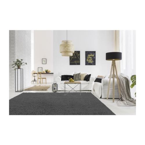TRENDY Tapis de salon Shaggy en polypropylene - 120 x 160 cm - Gris anthracite