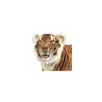 Tigre peluche géante online