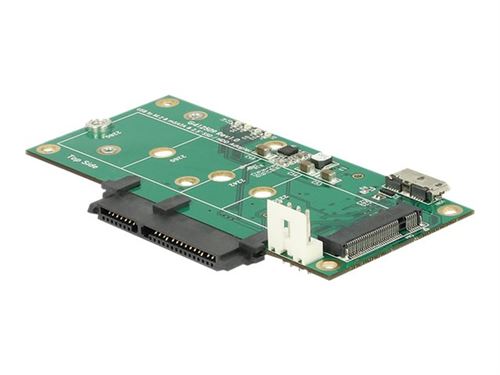 Delock - Contrôleur de stockage - mSATA, M.2 - M.2 Card / SATA 6Gb/s / mSATA - 6 Gbit / s - USB 3.1 (Gen 2)