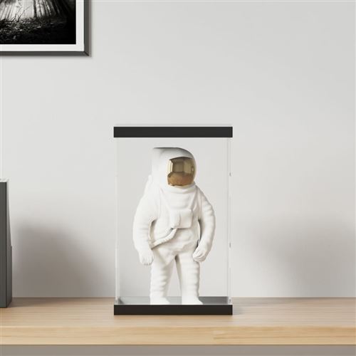 VIDAXL - Vitrine d'affichage - 22 x 18 x 35 cm - Transparent - Image 2