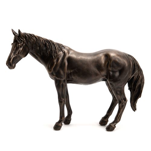 Statue : Cheval Colorado - Amadeus - Marron - Résine