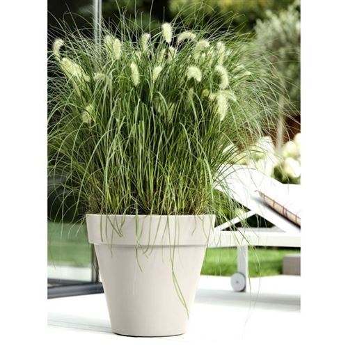 Elho Blanc Pot De Fleurs - Pure Round 40 - Ø 39 X H 36 Cm - 100% Recyclé - Image 3