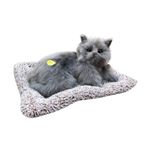 Peluche Chat Fnac