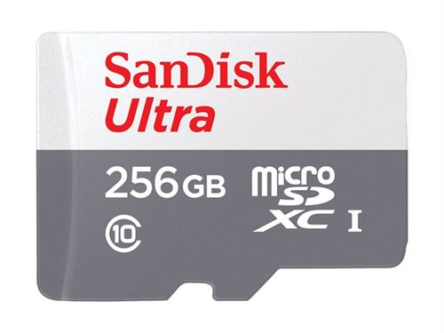 SanDisk Ultra - Carte mémoire flash (adaptateur microSDXC vers SD inclus(e)) - 256 Go - Class 10 - microSDXC UHS-I