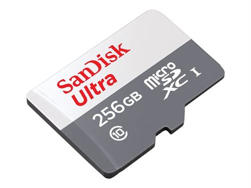 SanDisk Ultra - Carte mémoire flash (adaptateur microSDXC vers SD  inclus(e)) - 256 Go - Class 10 - microSDXC UHS-I - Carte mémoire micro SD -  Achat & prix