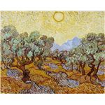 Fabulous Poster Vincent van gogh oliviers (42cm x 53cm)