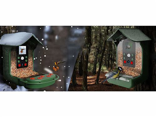 Birdbuddy Mangeoire à Oiseaux Intelligente Solaire avec caméra