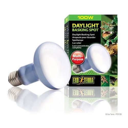 DAYLIGHT BASKING SPOT ampoule 100 W