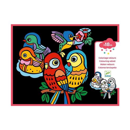 Djeco DJ09099 - Coloriages bebes oiseaux