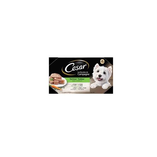 Cesar Barquettes En Terrine - 4 Varietes - Pour Chien Adulte - 4 X 150 G X6