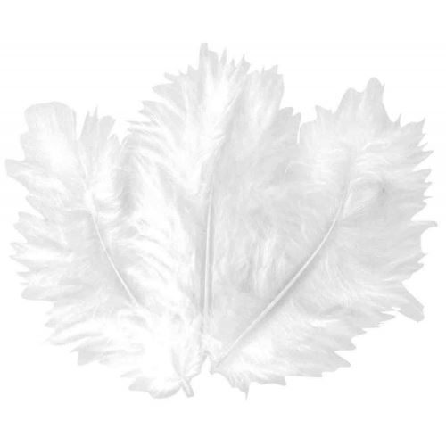 sachet 20 plumes blanches 5.5 cm deco scrapbooking fete anniversaire