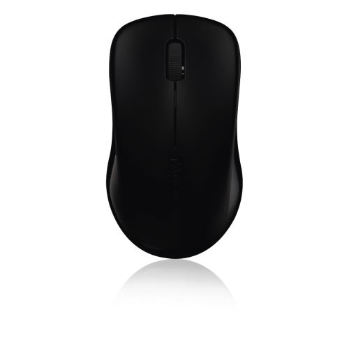 Souris optique sans fil 1620 Noir 