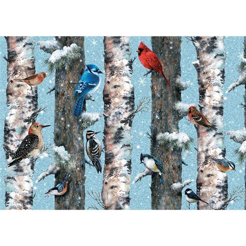 Puzzle carton 1000 pièces OISEAUX D'HIVER PIATNIK Multicolore