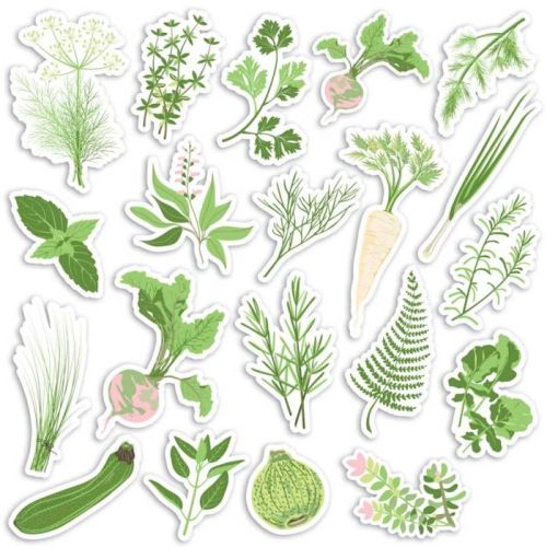 Toga Oh My Green Lot de 20 Formes Chipboards, Autre, Vert, 7 x 0.3 cm