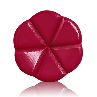 Cire à fondre parfumée pomme au four pour brûleur (110 capsules). -JUANIO- - 1