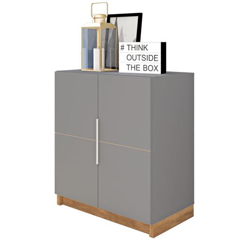 Armoire Basse 2 Portes Gris Mat