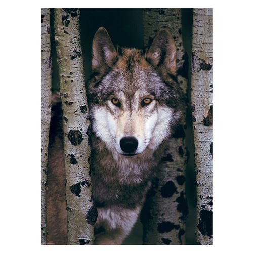Eurographics Loup Gris puzzle (1000 pièces)